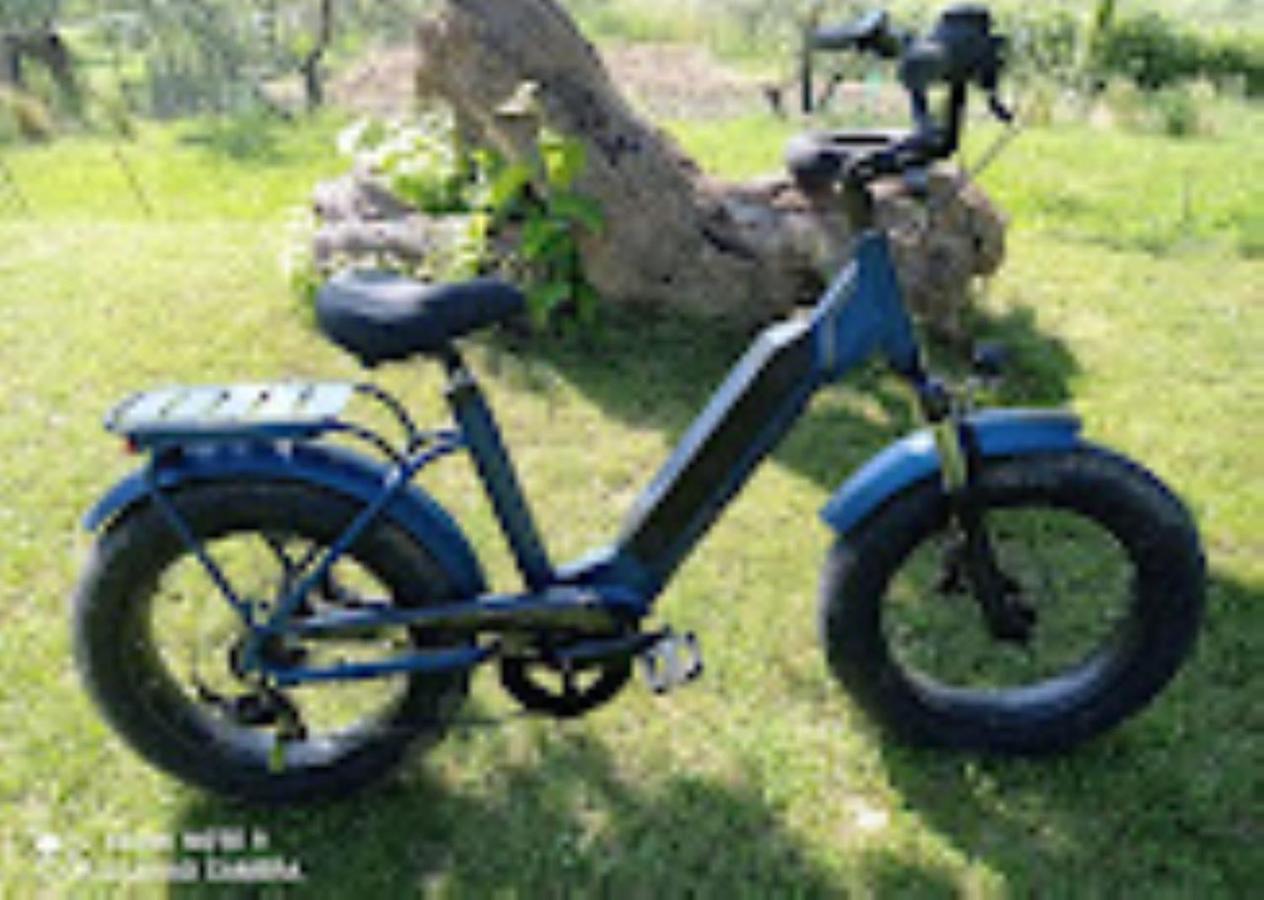 Agriturismo Il Bacucco Montecarotto Kültér fotó