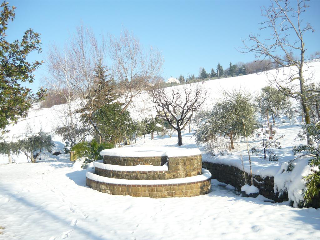 Agriturismo Il Bacucco Montecarotto Kültér fotó