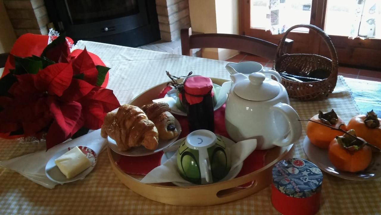 Agriturismo Il Bacucco Montecarotto Kültér fotó