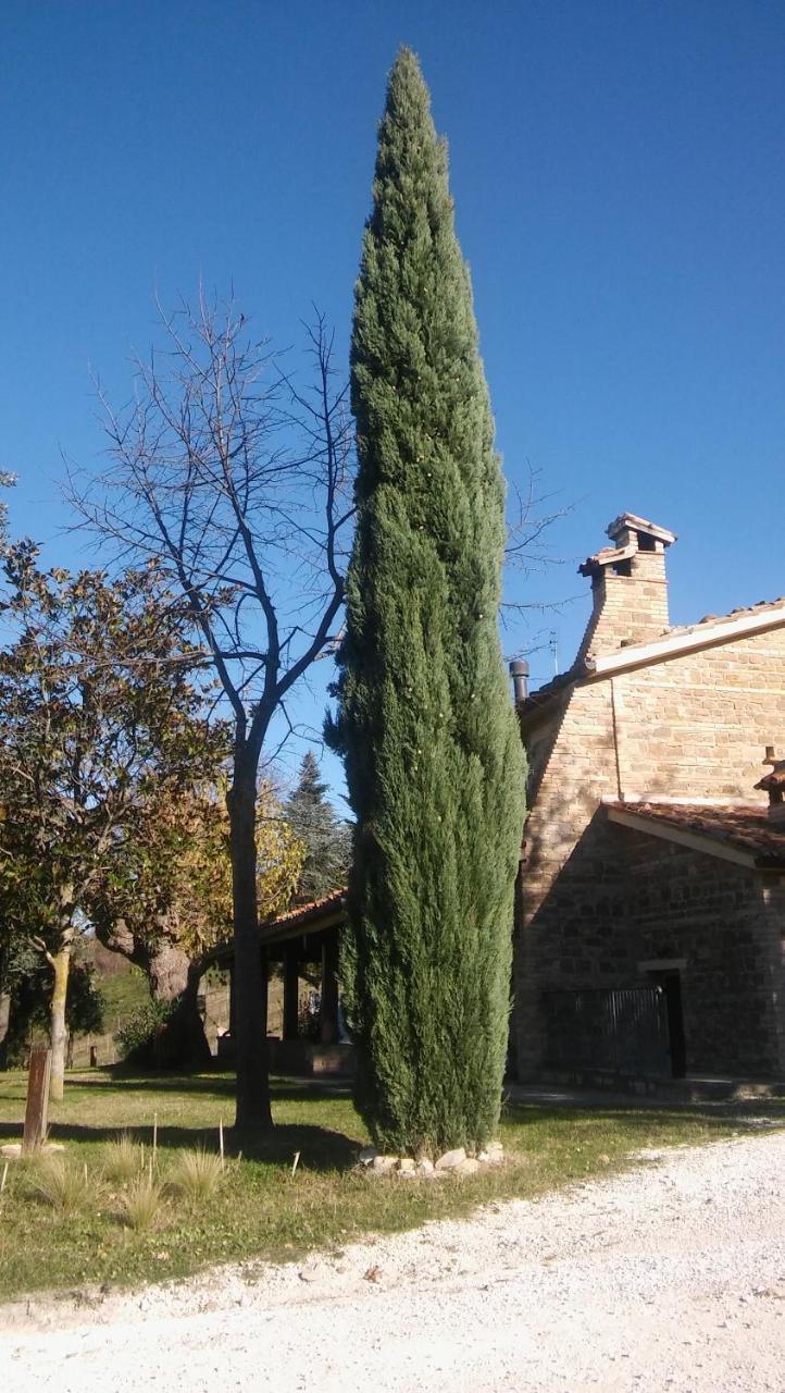 Agriturismo Il Bacucco Montecarotto Kültér fotó